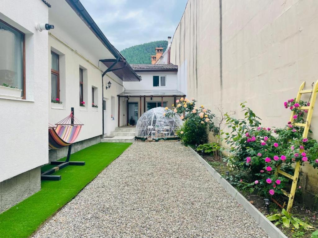 Schei Brasov-Скей Брашов Apartment Luaran gambar
